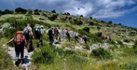 Chemins du sud Chemins du sud
