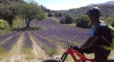 Blog de Vélo Loisir Provence