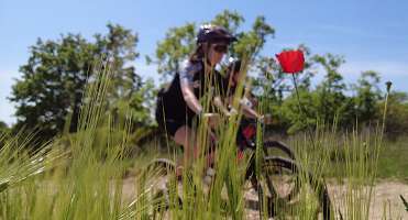 Boucle vélo : La Martre - Le Logis du Pin - DE