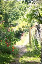 Jardin de l'abbaye de Valsaintes_Simiane-la-Rotonde