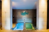 Spa : Bains chaud et froid