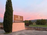 BORÉLIS